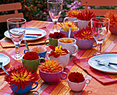 Various dahlia in cups on laid table