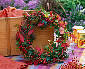 Kranz aus Hagebutten, Hedera (Efeu), Herbstlaub von Amelanchier (Felsenbirne)