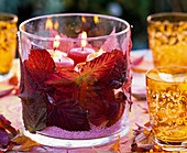 Lantern with autumn leaves of Rubus (blackberries) and decorative sand