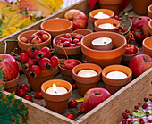 Rosehips, physalis (lanterns), malus (apples, ornamental apples), tea lights