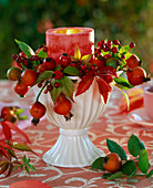 Rosehip, autumn Parthenocissus leaves in mug with candle