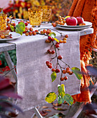 Zweig von Malus (Zierapfel) mit Früchten und Blättern als Tischgirlande