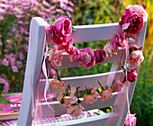 Rosa (Rosen), Blütenblätter und Blüten aufgefädelt an Stuhllehne