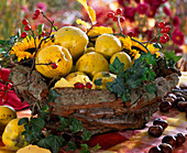 Cydonia (quince) in a basket made of bark, Hedera (ivy vine), rose hips