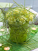 Winter bouquet of green dianthus (carnations)