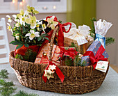 Gift basket with Helleborus (Christmas rose) and gifts
