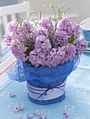 Hyacinthus (hyacinths), Vaccinium (blueberry branches) in glass vase