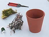 Pot with moss and willow catkins (1/5)