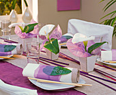 Table decoration with Zantedeschia (indoor calla) with purple tissue paper cuff
