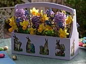 Small bouquets of Narcissus (daffodils), Hyacinthus (hyacinths), Muscari
