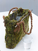 Moss bag with daffodils (7/9)
