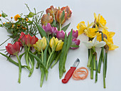 Colourful spring bouquet (1/5)