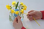 Daffodil lantern (4/5)