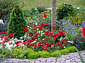 Red-white-blue spring bed