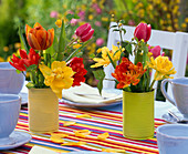 Kleine Sträuße aus Tulipa (Tulpen) und Kerria (Kerrie) in farbigen Dosen