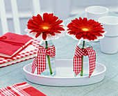 Gerbera with corkscrew cuffs in small bottles with checkered bow