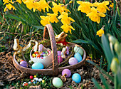 Easter nest in basket with wreath of Betula (birch) with Easter eggs, sugar eggs