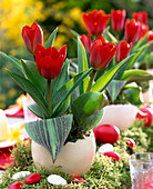 Easter table decoration with tulips