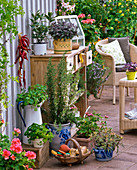 Herb arrangement on the terrace