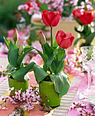 Table decoration with tulips and ornamental cherry blossoms