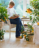 Citrus (lemon, calamondin orange) in pots