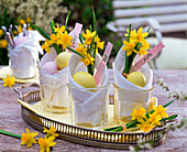 Narcissus (narcissus) in beakers with napkins, easter eggs