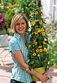 Frau hält Thunbergia alata (Schwarzäugige Susanne)