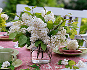 Table decoration with white lilac