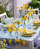 Yellow table decoration with daffodils