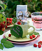 Rubus (Himbeere, Zweig mit Blättern und Früchten) in Tasse mit Serviette