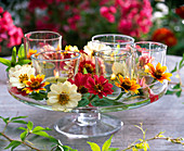 Lanterns in small glasses, decorated with zinnia on a glass bowl