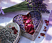 Getrocknete Blüten von Lavandula (Lavendel) und Rosa (Rosen) in Dose