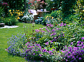 Blue-purple perennial bed with geranium