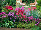 Scented bed with Phlox 'Starfire', 'Kesselring', 'Landhochzeit' und 'Frau von Mauthner'