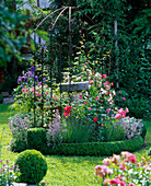 Buxus (Boxwood roundel) with Rose (Roses), Lavandula (Lavender)