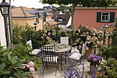 Schattenterrasse mit Hydrangea (Hortensien), Rhododendron (Alpenrose)