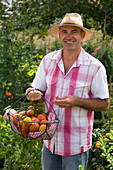 Mann mit frisch geernteten Lycopersicon (Tomaten) in Metall-Korb