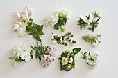 White flower tableau balcony flowers