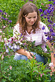 Woman cutting aquilegia (columbine) for bouquet