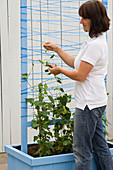 Box with clothesline as a climbing aid