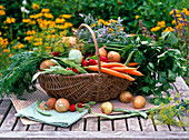 Still life with vegetables and herbs, Daucus, Allium