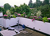 Planting a roof terrace (5/6)