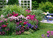 Scented bed with phlox, Delphinium grandiflorum