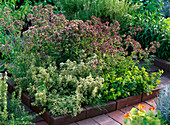 Herb bed with clinker edging