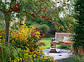 Spätsommerbeet unter Sorbus