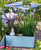 Plastic buckets as mini ponds