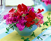 Arrangement of Pelargonium (various geraniums) in small bowl