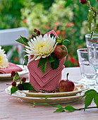 Dahlia (Dahlie), Malus (Apfel) und Rubus (Brombeeren)