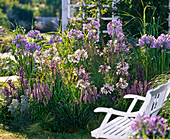 Blue-white flowerbed