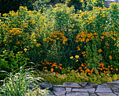 Yellow late summer bed